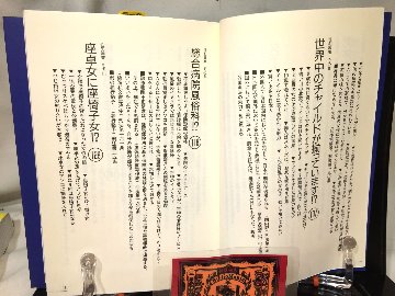 性犯罪業カタログ　性欲あるところに商売あり の画像