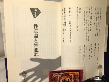 アメリカ性犯罪百科の画像