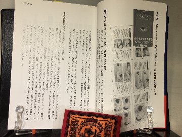 SEX体位マニュアルの画像