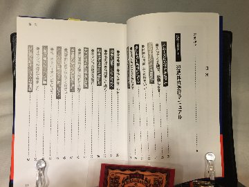 SEX体位マニュアルの画像