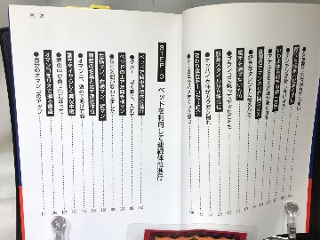 SEX体位マニュアルの画像