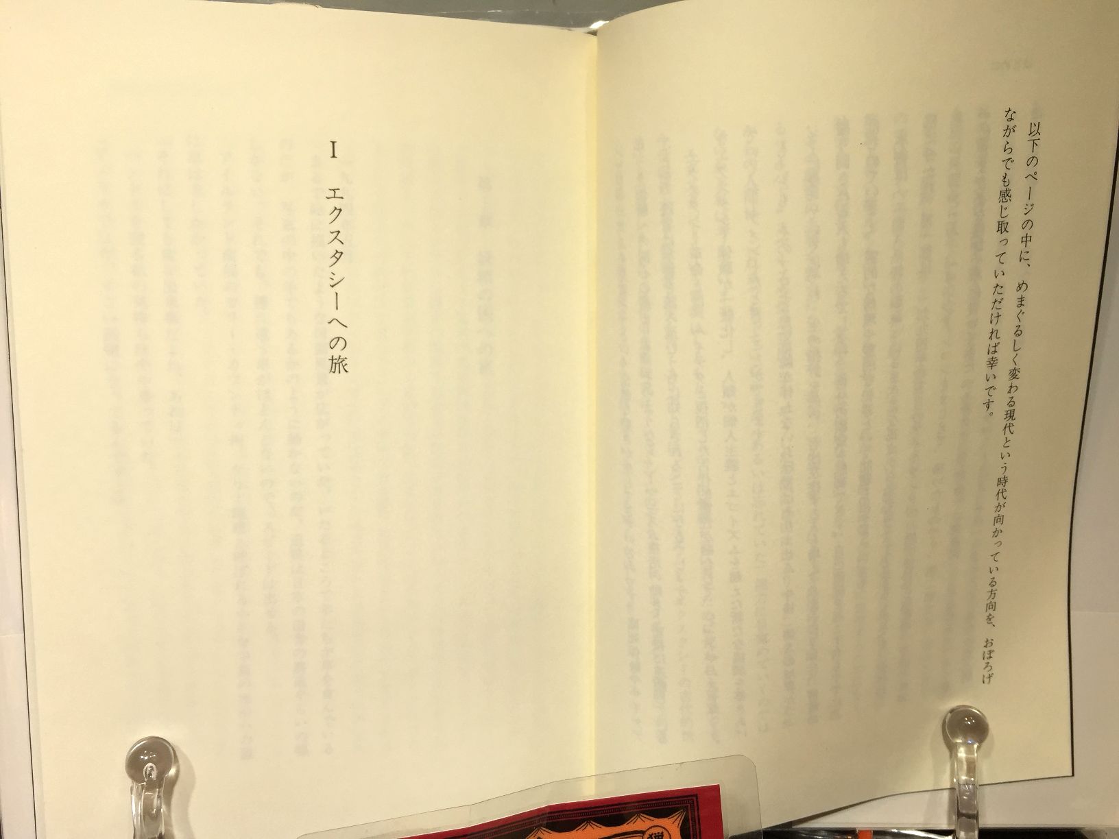 エクスタシー革命の光と闇の画像