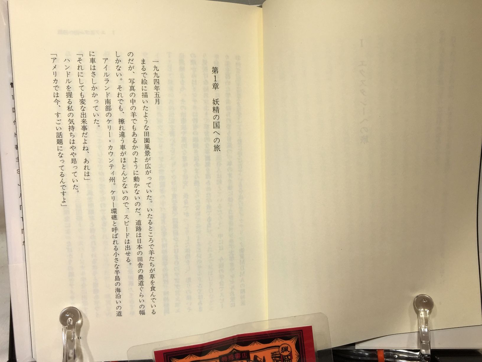 エクスタシー革命の光と闇の画像