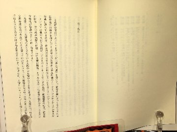 エクスタシー革命の光と闇の画像