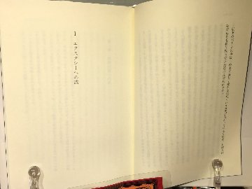 エクスタシー革命の光と闇の画像