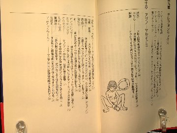 ひとりHマニュアル 女の子の気持いい!!オナニーの画像