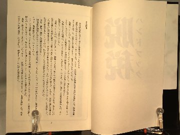 脱税ハンドブックの画像