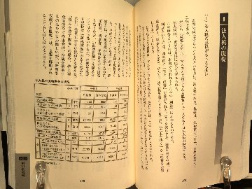 脱税ハンドブックの画像