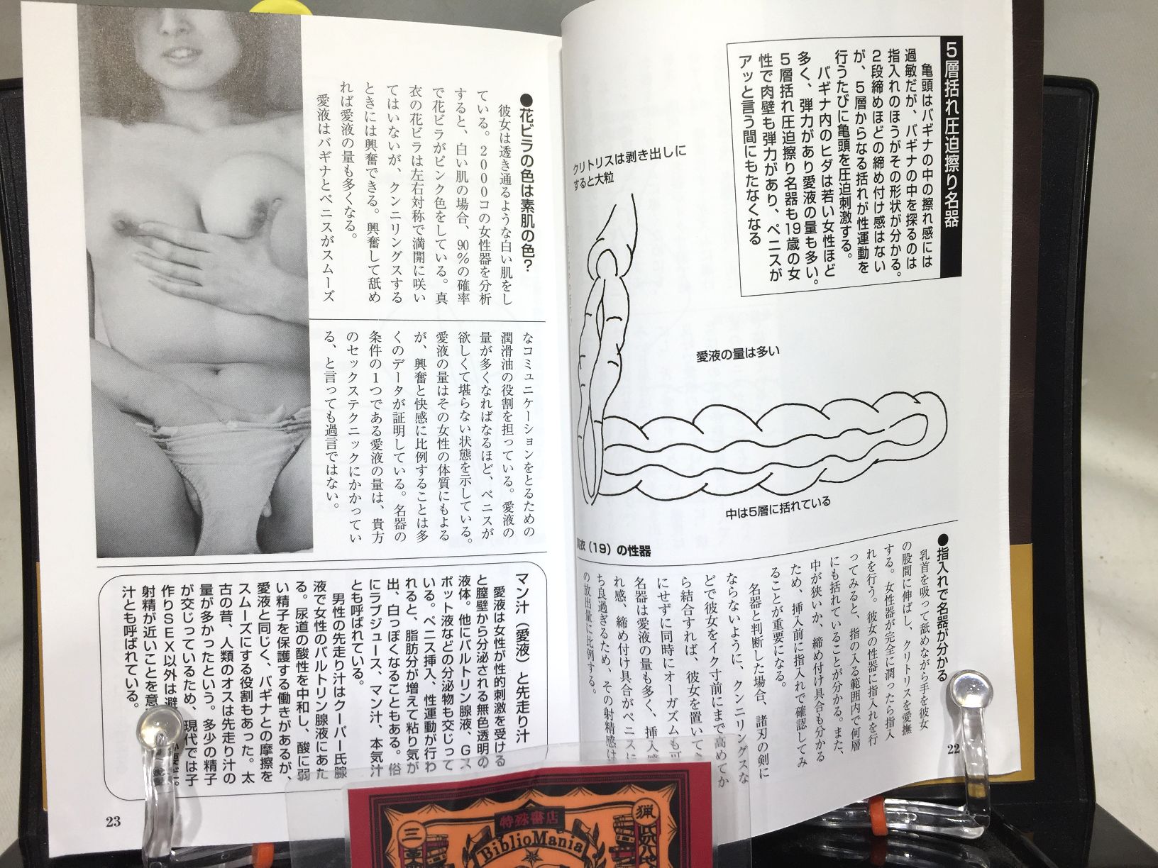 SEX名器大解剖図鑑の画像