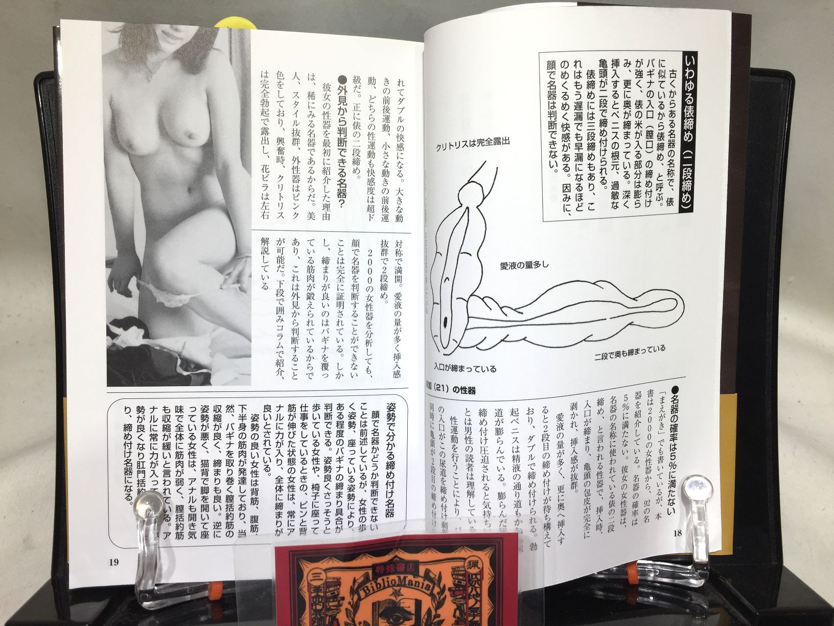 SEX名器大解剖図鑑の画像