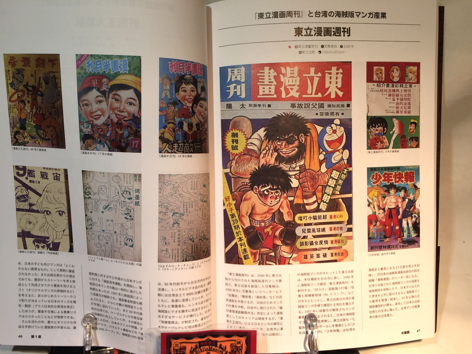 世界海賊版マンガ大全 パクリ＆無版権コミック・アーカイブの画像