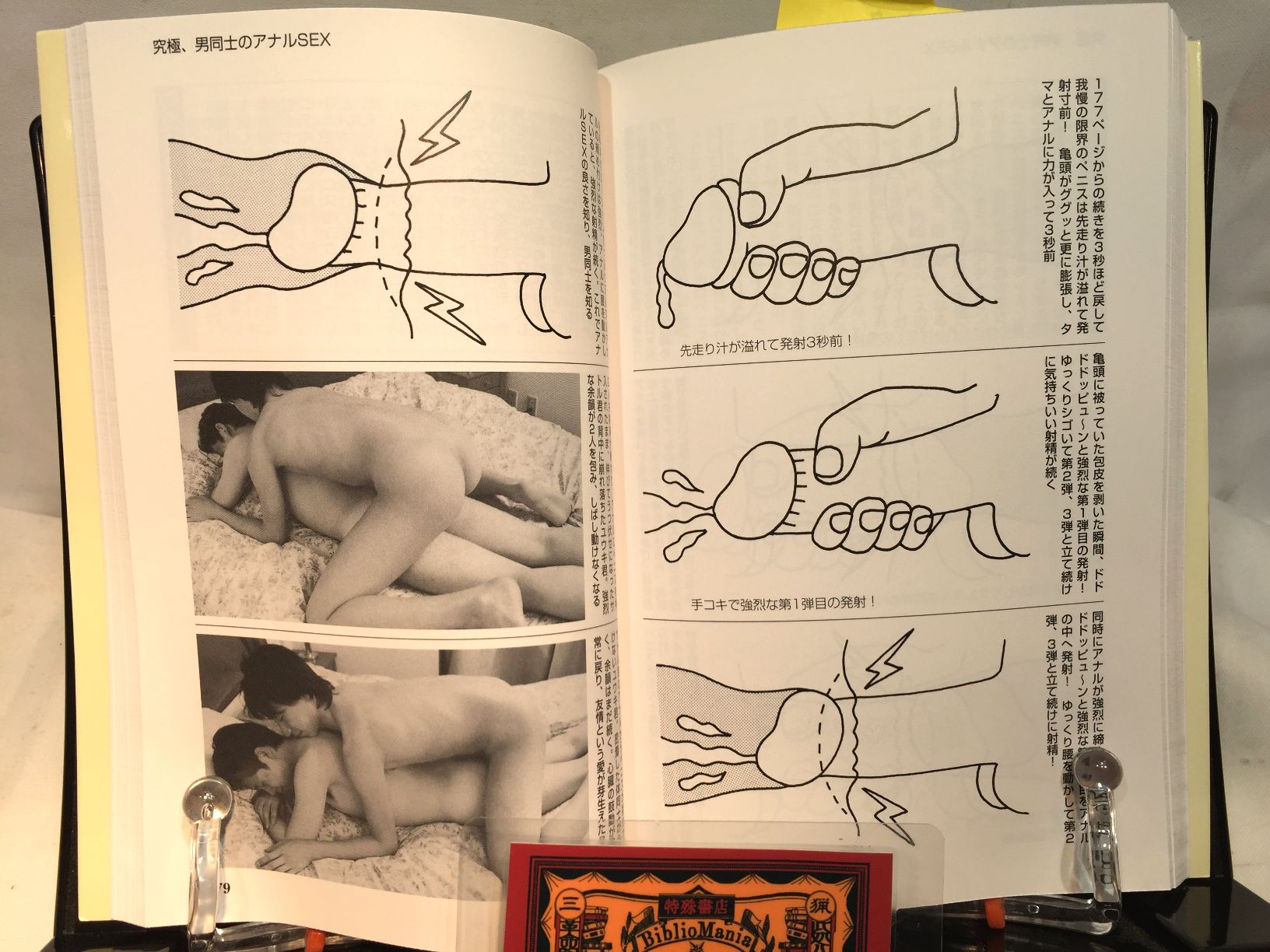 男同士のsexマニュアルの画像