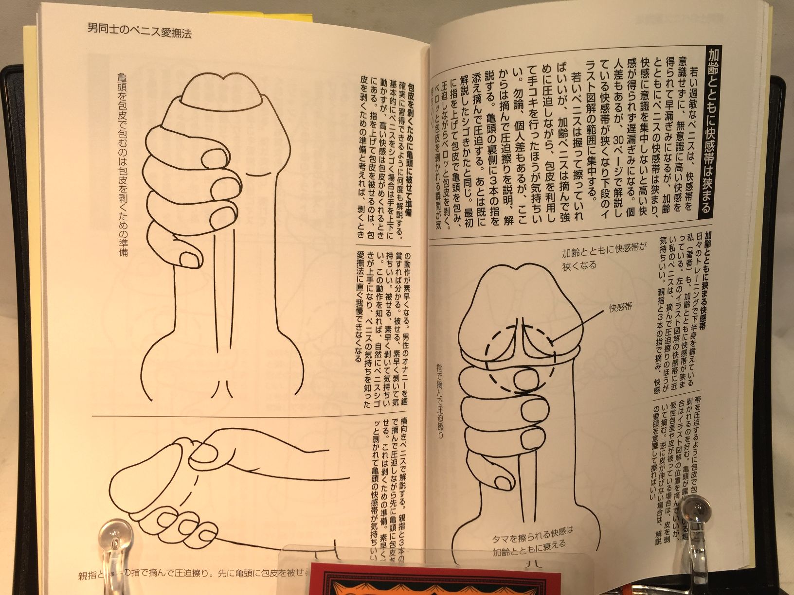 男同士のsexマニュアルの画像