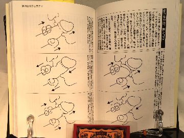 男同士のsexマニュアルの画像