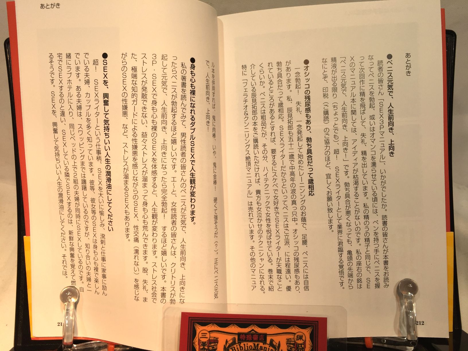 SEX3Pマニュアル　女1人を2人で楽しむ の画像