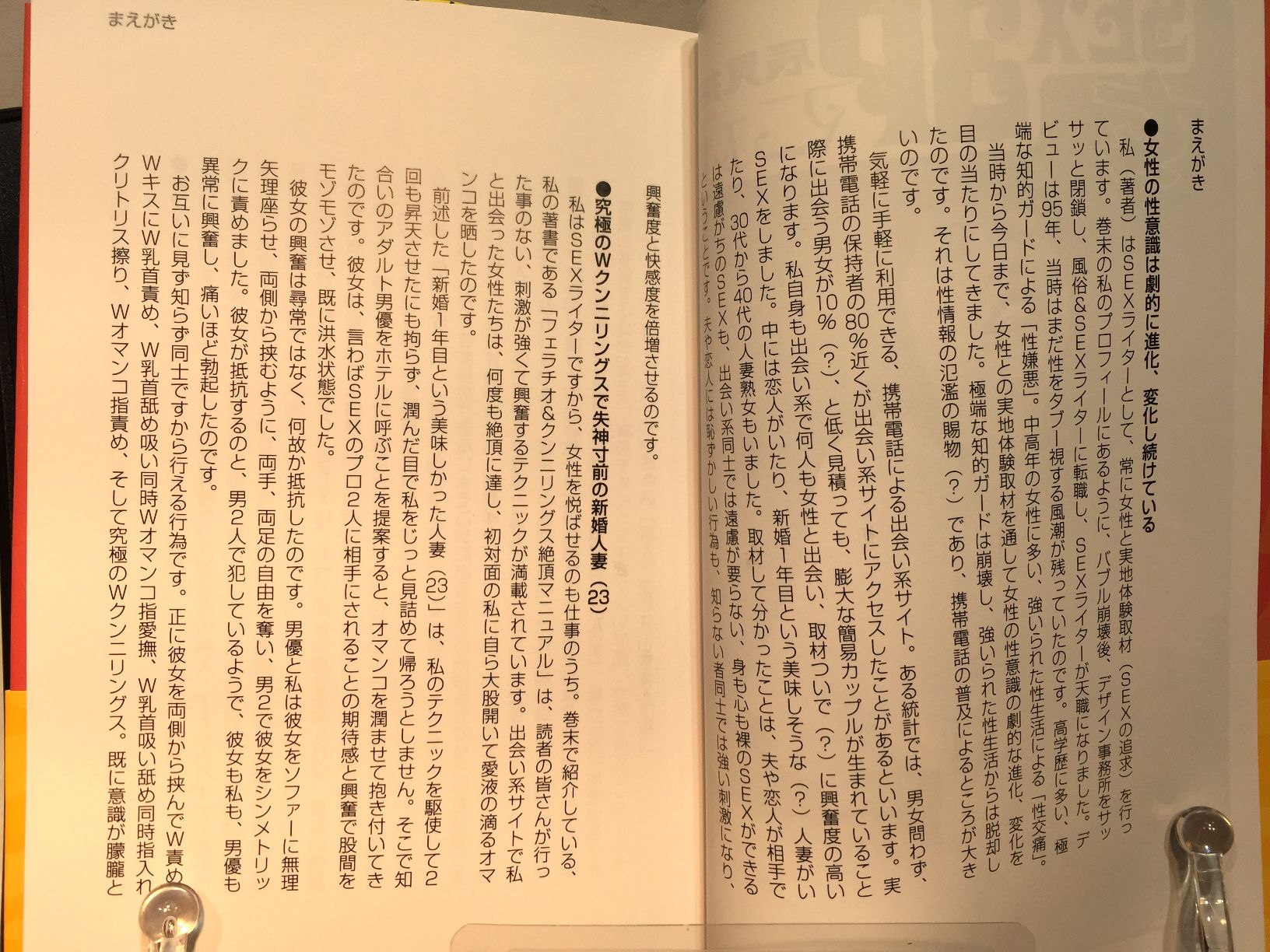 SEX3Pマニュアル　女1人を2人で楽しむ の画像