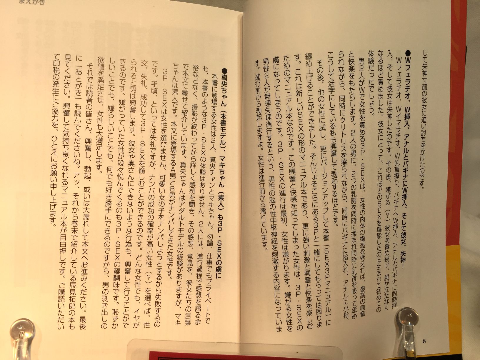 SEX3Pマニュアル　女1人を2人で楽しむ の画像