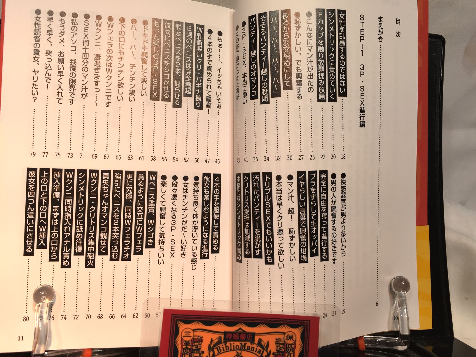 SEX3Pマニュアル　女1人を2人で楽しむ の画像