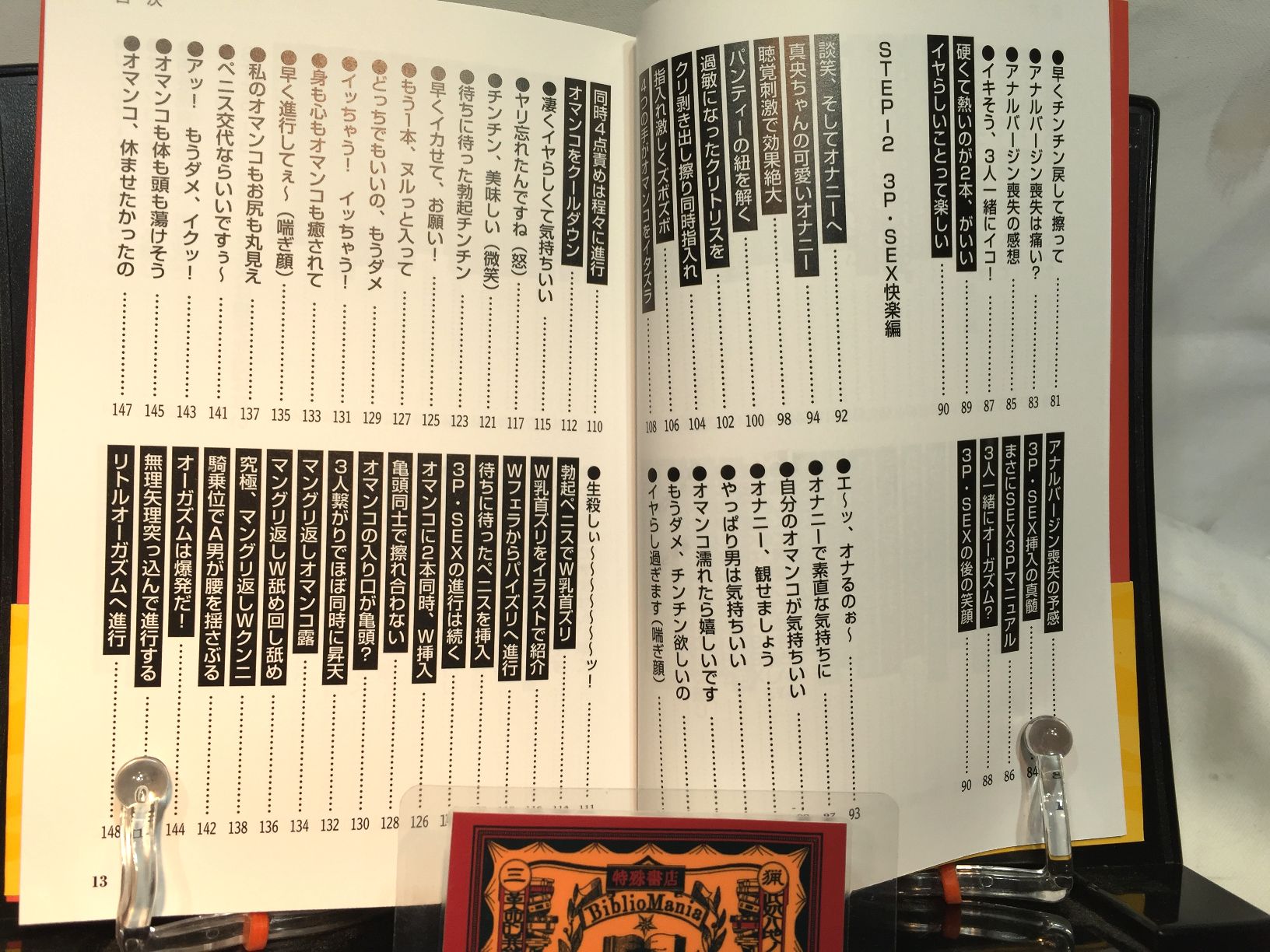 SEX3Pマニュアル　女1人を2人で楽しむ の画像