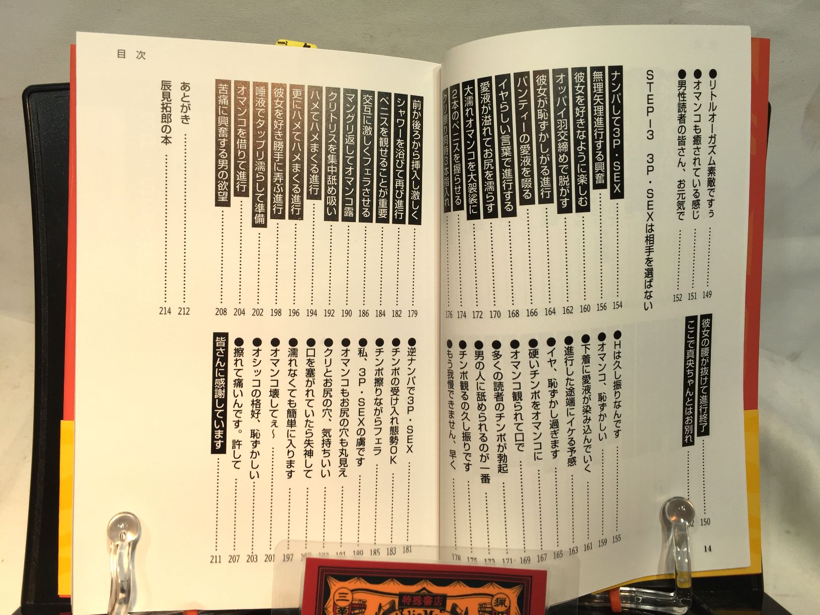 SEX3Pマニュアル　女1人を2人で楽しむ の画像