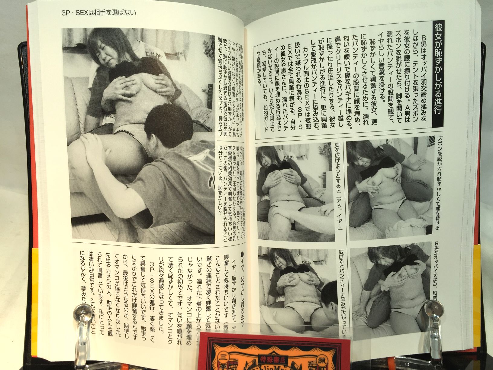 SEX3Pマニュアル　女1人を2人で楽しむ の画像