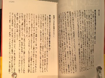 SEX3Pマニュアル　女1人を2人で楽しむ の画像