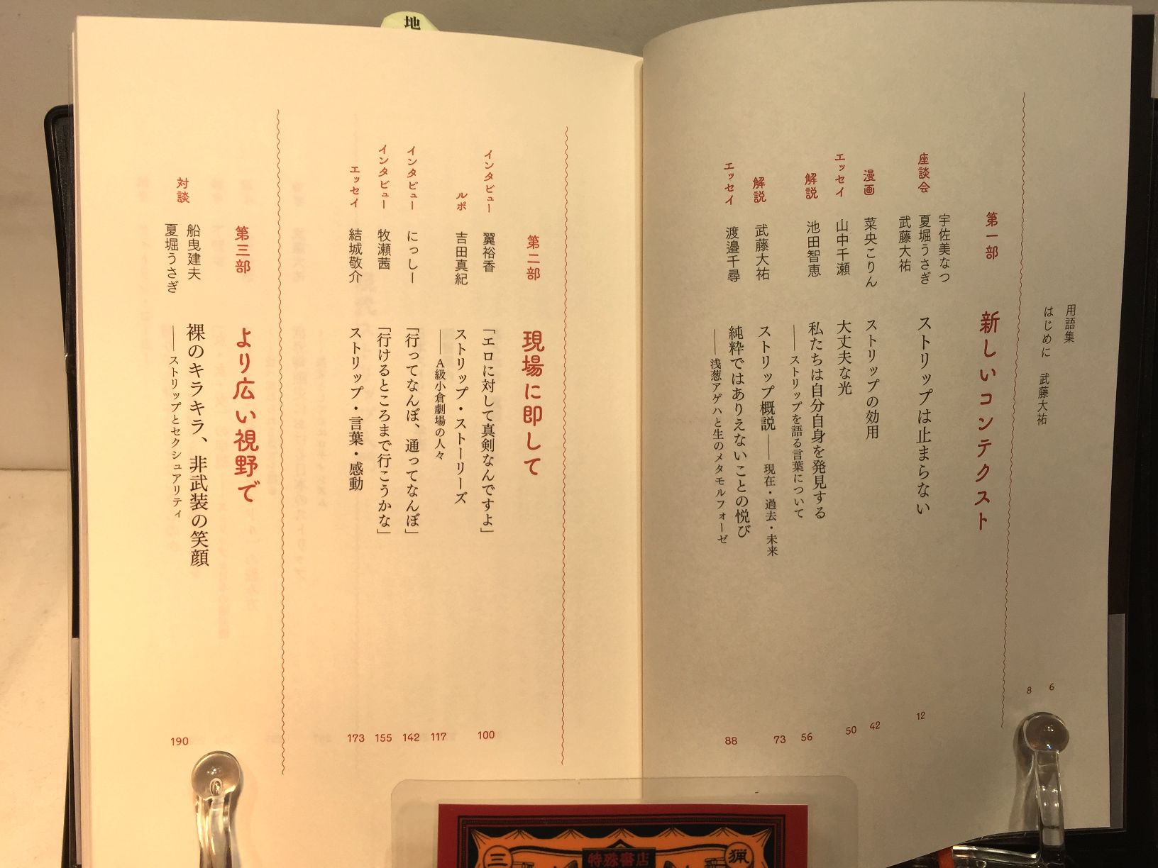  現代ストリップ入門　の画像