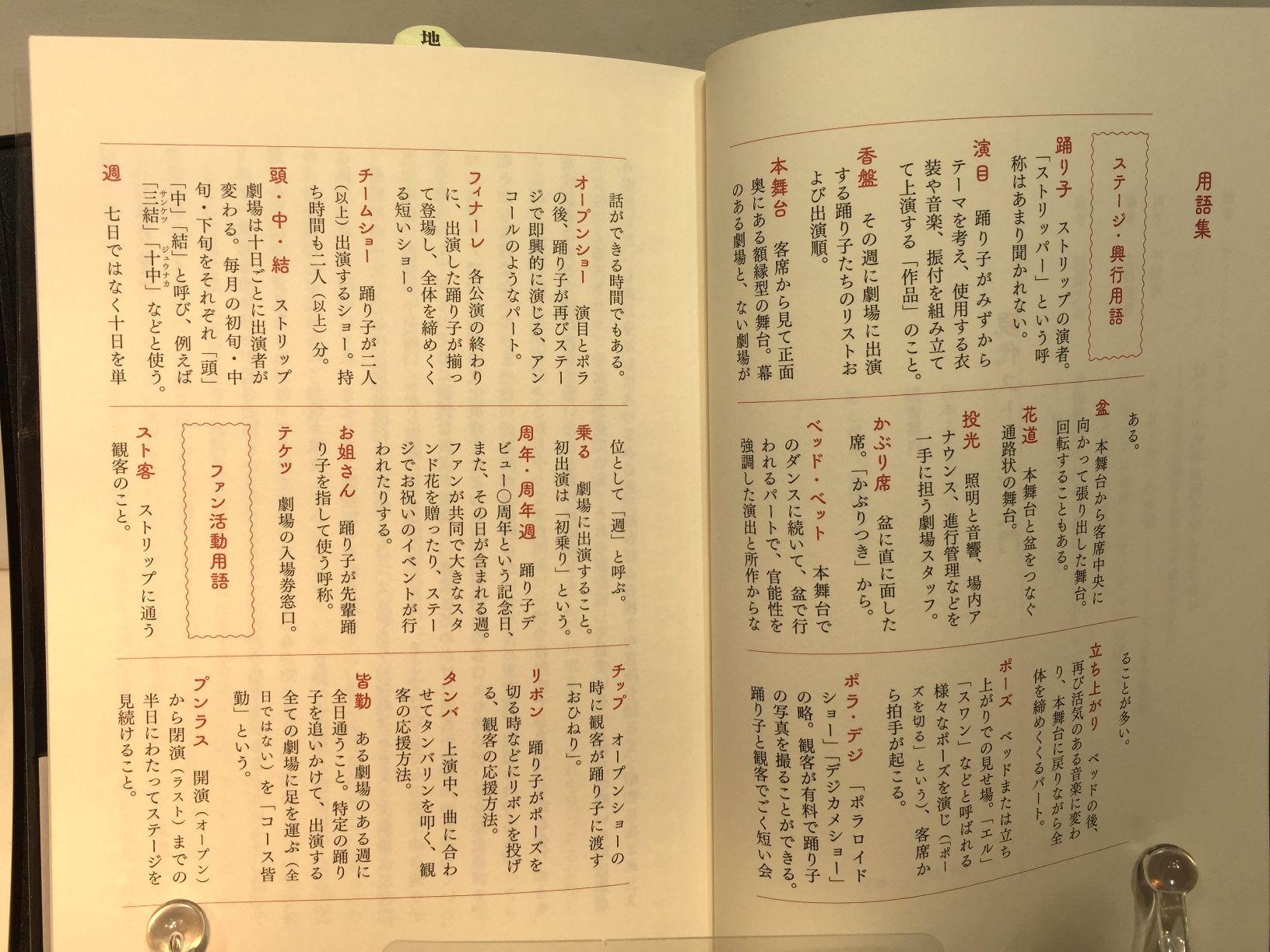  現代ストリップ入門　の画像