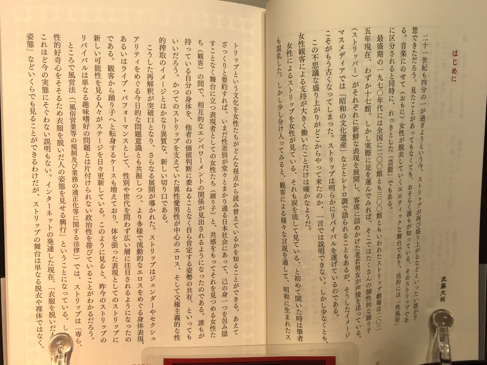  現代ストリップ入門　の画像