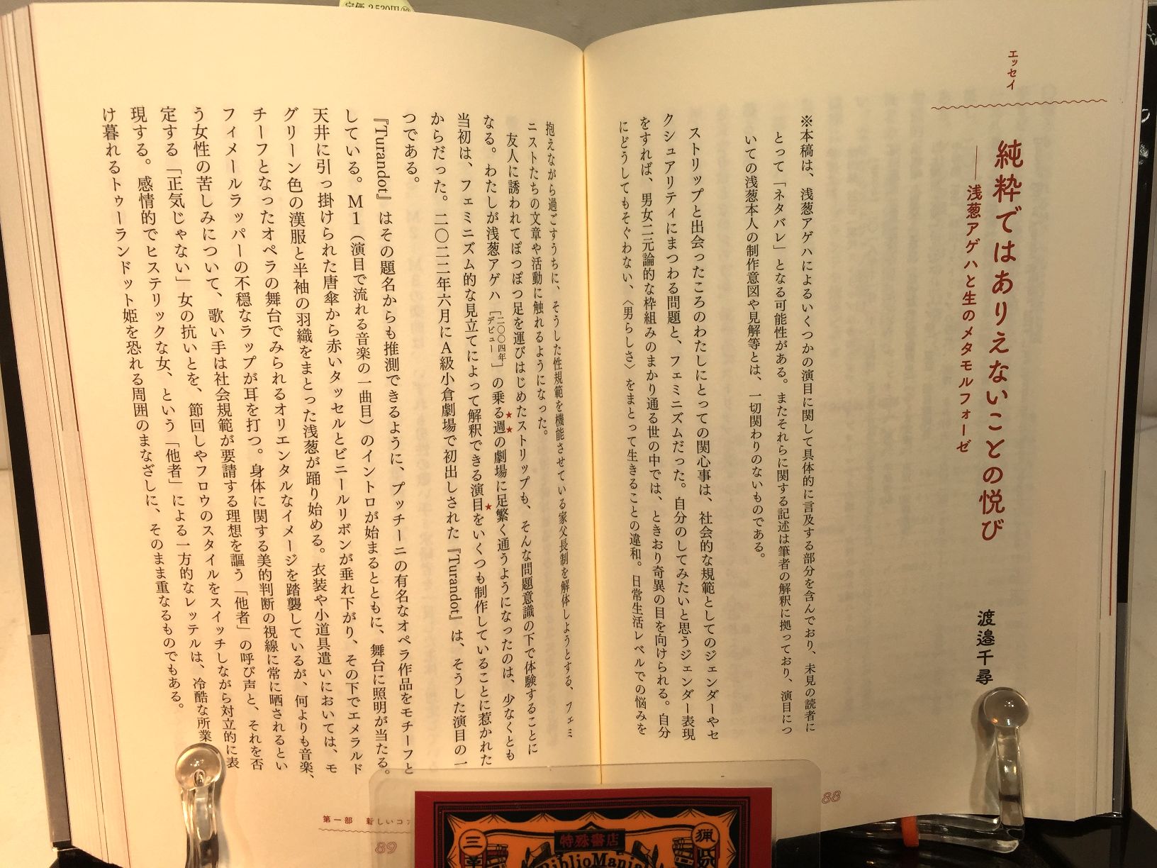  現代ストリップ入門　の画像