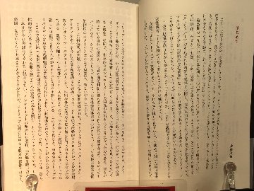  現代ストリップ入門　の画像