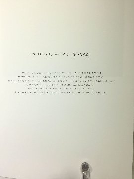 フジカラーベンチの旅 1 　【木藤富士夫】の画像