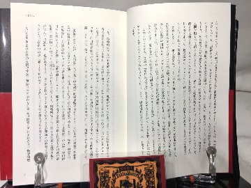 最後の異端者 評伝 美輪明宏の画像