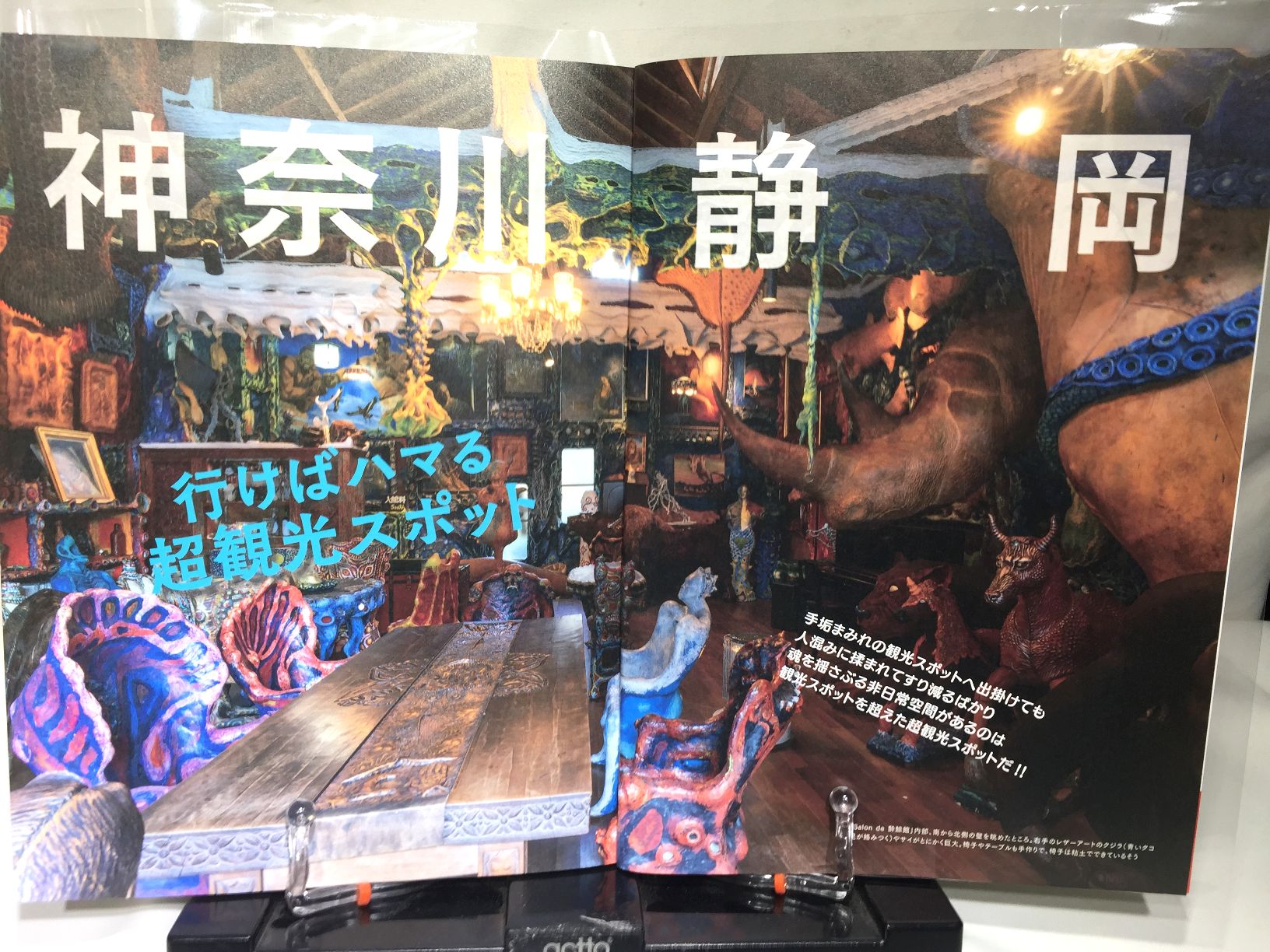 ワンダーJAPON　vol.12　神奈川・静岡 行けばハマる超観光スポットの画像
