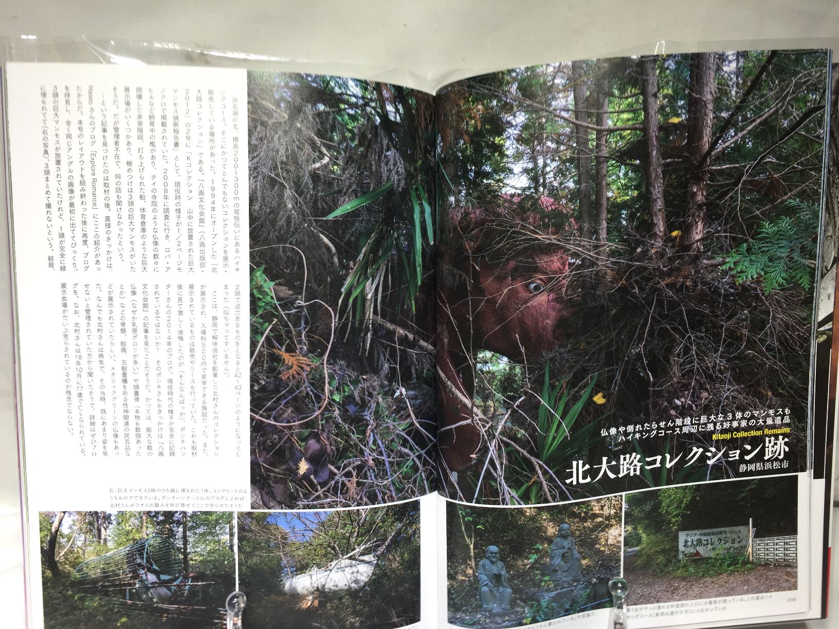 ワンダーJAPON　vol.12　神奈川・静岡 行けばハマる超観光スポットの画像