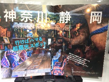 ワンダーJAPON　vol.12　神奈川・静岡 行けばハマる超観光スポットの画像