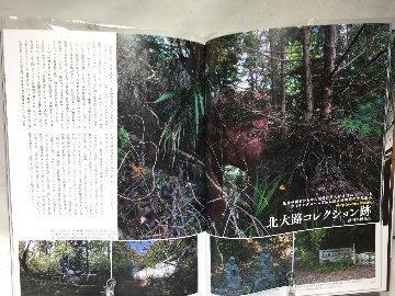 ワンダーJAPON　vol.12　神奈川・静岡 行けばハマる超観光スポットの画像