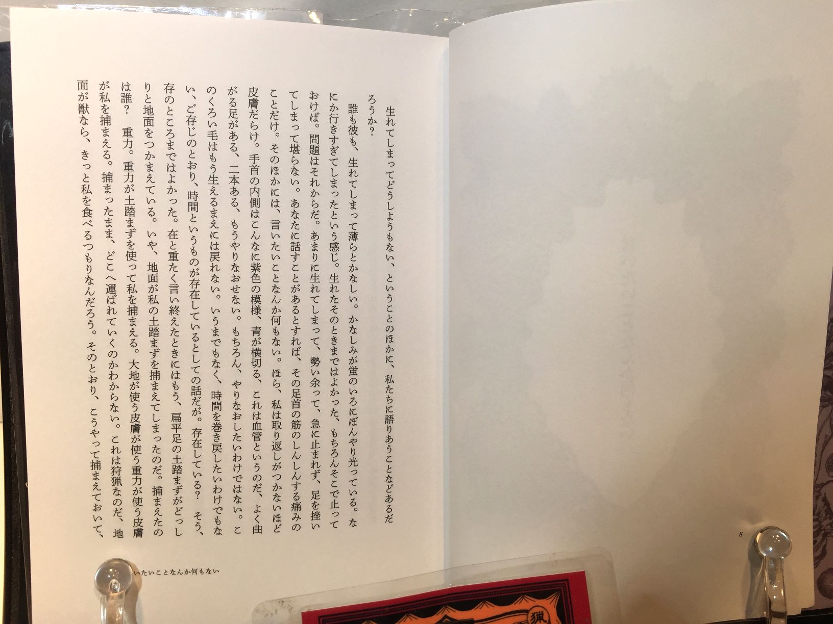 フニェルリリンカ宣言　/百頭花の画像