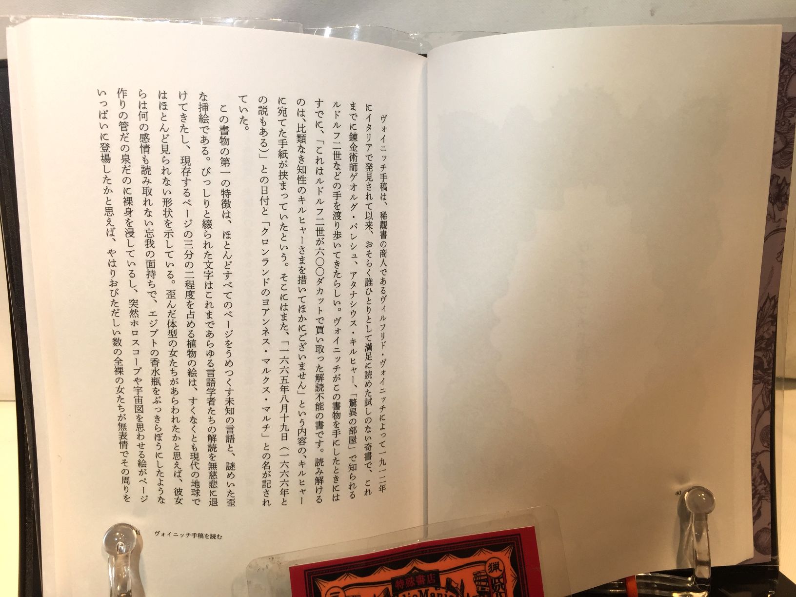 フニェルリリンカ宣言　/百頭花の画像