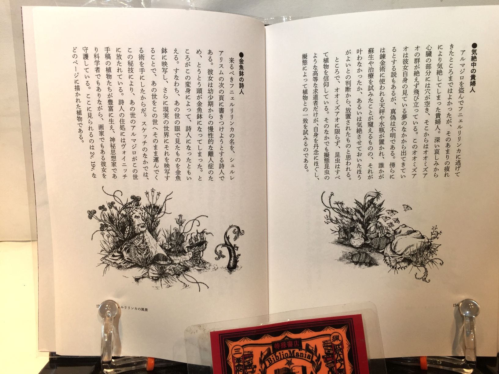 フニェルリリンカ宣言　/百頭花の画像