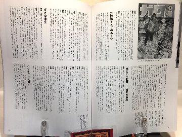 没後20年の見沢知廉の画像