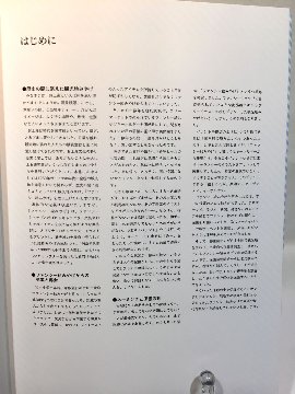 ファンシー絵みやげ大百科　忘れられたバブル時代の観光地みやげの画像