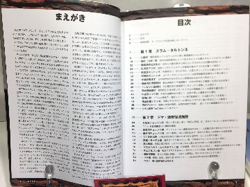 チープコリア ヘル朝鮮の歩き方の画像