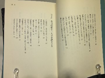 自己破産ハンドブック　の画像