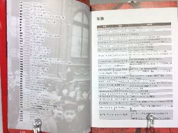ロシア革命の歩き方 ペトログラード・ガイドブックの画像