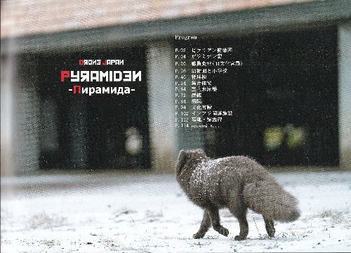 ピラミデン　廃墟空撮写真集の画像