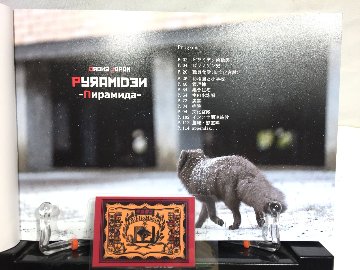 ピラミデン　廃墟空撮写真集の画像