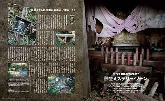 八画文化会館Vol.4　特集：日本のワンダーランド伊豆画像