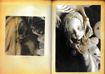 Costa d'Eva イヴの肋骨ーー中川多理人形作品集　　【新本】の画像