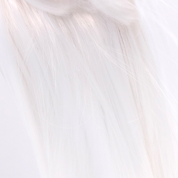 ロングウィッグ　20cmの画像